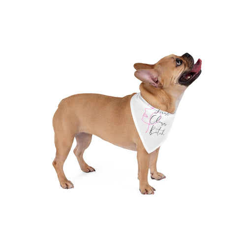 "Best in Show" - Pet Bandana