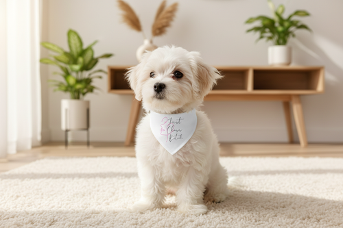 Lifestyle - Dog Wearing Pet Bandana